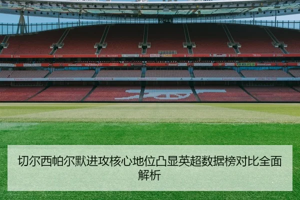 切尔西帕尔默进攻核心地位凸显英超数据榜对比全面解析