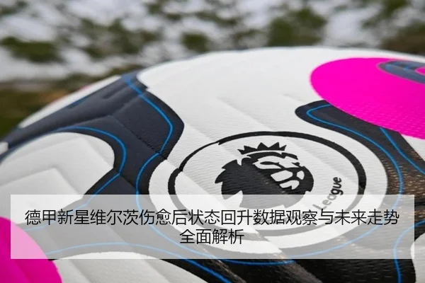 德甲新星维尔茨伤愈后状态回升数据观察与未来走势全面解析