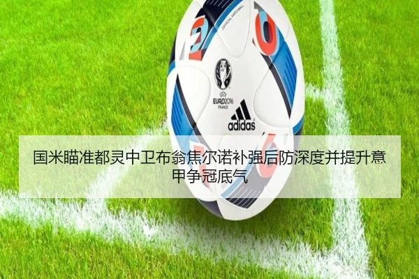 国米瞄准都灵中卫布翁焦尔诺补强后防深度并提升意甲争冠底气