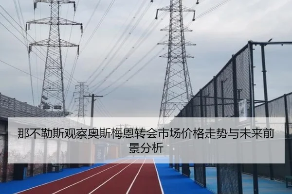 那不勒斯观察奥斯梅恩转会市场价格走势与未来前景分析